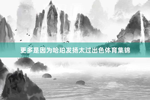 更多是因为哈珀发扬太过出色体育集锦